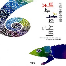빛과색의신비