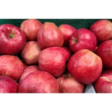 프리미엄 사과, (32~40과), 3) 사과(최특품) 10kg