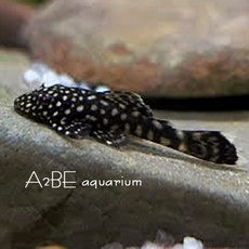 acfae326fc7d751cf16c0fce257f37967807752e939dae66807f6545308d.jpg