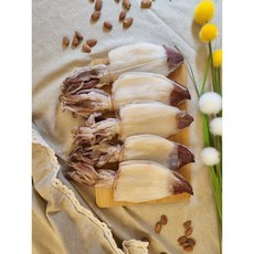 [웅이네] 한치 [업소용] 900g 반건조 우윳빛 부드러운 AAA급 대용량, 20마리