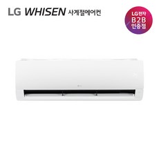 LG 휘센 벽걸이 냉난방 에어컨 신상품 인버터 냉난방기 (기본설치비포함 전국) 공식판매점, SW13BAKWAS