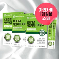 닥터에비던스차전자피