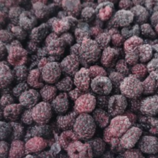 추천9 고창복분자