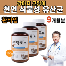 포스트트러스트