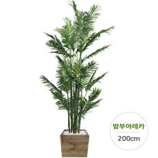 //상품명