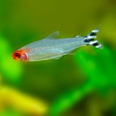 617a70c3b4f67ab2c50562616465d2c317857c56e4c35def02f658256fd8.jpg