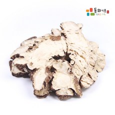 궁무니모의고사