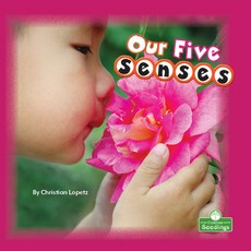 (영문도서) Our Five Senses Paperback, Crabtree Seedlings, English, 9781039600065