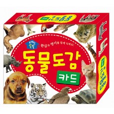 도앙플래시카드