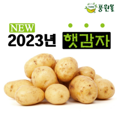 2023년 포슬포슬 햇감자(조림용) 5kg 10kg