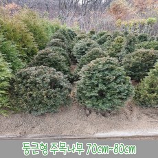 daec249c45167eb2dff2ee87dabe3d0cf14c2de5d8b1c05f9fb2ce6b028e.jpg