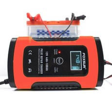 FOXSUR 퍽셔 충전기 폭서 12v 24v 6v 배터리 점프용 보조 방전 점프 스타터, 220v 코드 한국형플러그