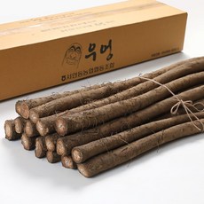 국내산 우엉 2kg 서안동농협, 2kg 대상, 1개