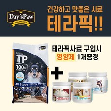 데이스포테라픽