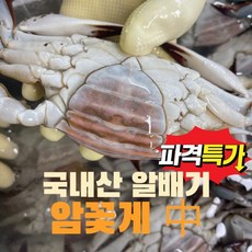 [시흥월곶맛집] 국내산 수제 간장게장(살수율100% 알배기 봄 암꽃게) 중 크기 / 2미 [원산지:국산(인천광역시 옹진군)]