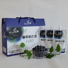 블루베리즙100% 스파우트 100ml 국내산 (친환경 무농약)