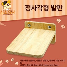 슈가글라이더 사육장 피그미다람쥐 케이지 대형 1개, RJ 151 사각형 점프 플랫폼