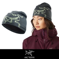 아크테릭스 비니