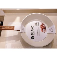 모던하우스전기후라이팬