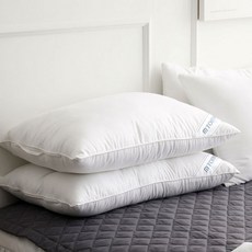 [믹스앤매치] 나노필 리얼 마이크로 베개솜(50x70), 선택:나노필 리얼 마이크로 베개솜(50x70)