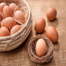 네지쿠 난각 1번 동물복지 자연방사 유정란 무항생제 계란 20구 40구, 1개