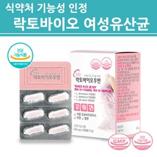 mg프로비던스