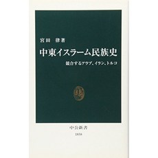 중동 이슬람 민족사 - 경쟁 아랍 이란 터키 (공신 서), 단일옵션, 단일옵션