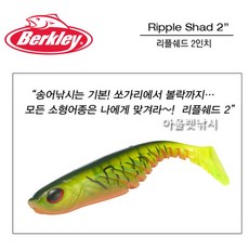 e51db84749714ffd8b824ae802c96a7098dc1934e2982728c277431629ab.jpg