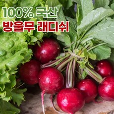적환무2kg