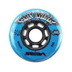 주트롤러스케이트