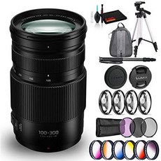 Panasonic Lumix G Vario 100-300mm f/4-5.6 II Power O.I.S. Lens Include, 상세내용참조