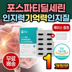 나의ps파트너광주관람평