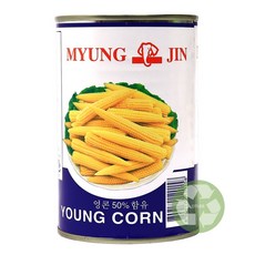 영콘