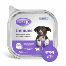 포르자10레날