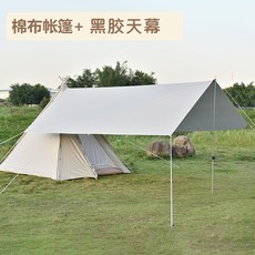 추천4 미르카오스틴