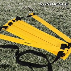 감각통합사다리