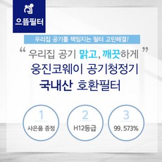 웅진코웨이가습기