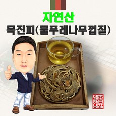 물푸레나무