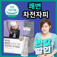 오은영차전자피