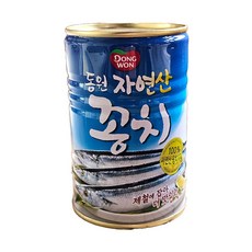 동원 자연산꽁치300g, 1개, 300g