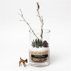 아트박스/러브피어리 겨울에 핀 다육테라리움 DIY KIT