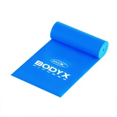 바디엑스 2M 스트레칭밴드 블루(3단계) 루프 라텍스 헬스 요가 튜빙 밴드