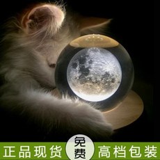 김천스카이워크체험