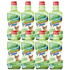  시너지랩 덴탈 후레쉬 캣 오리지널 구강청결제, 237ml, 8개 
