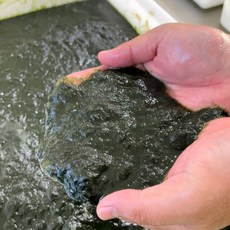 완도 찰매생이 생물 매생이 국내산 청정지역 해조류, 1개, 200g
