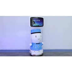 ai고양이