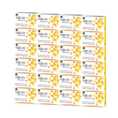 선스프레이식물나라