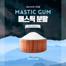 매스틱 분말 가루 그리스 키오스산 300g, [선택1] 매스틱 300g X 1병