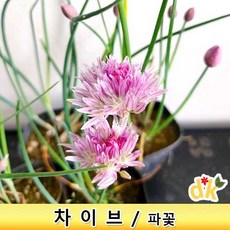 //상품명