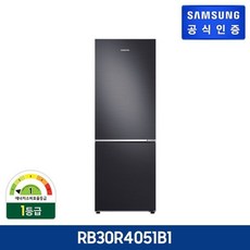 삼성rb30r4051b1